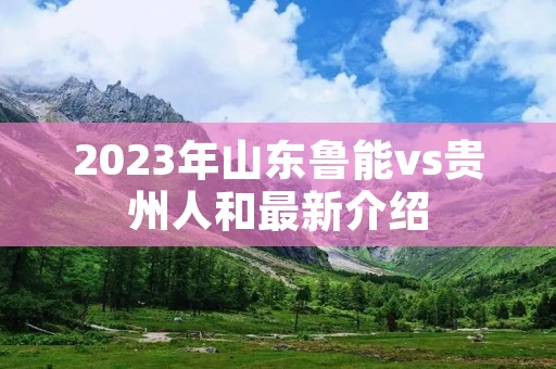 2023年山东鲁能vs贵州人和最新介绍