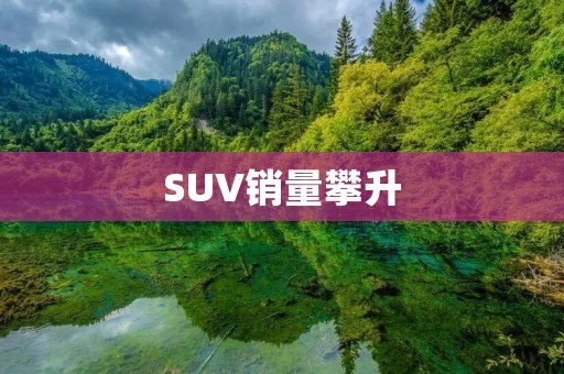 SUV销量攀升：消费者对于品质与安全的关注推动市场发展