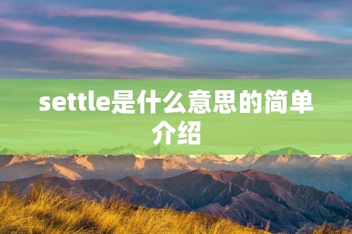 settle是什么意思的简单介绍