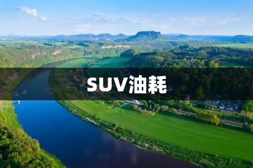 SUV油耗:如何选择低油耗的SUV? SUV油耗:如何选择低油耗的SUV?