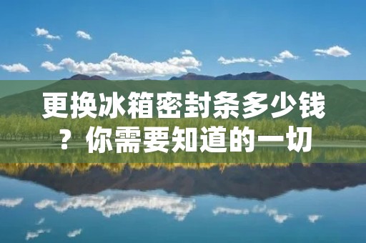 更换冰箱密封条多少钱？你需要知道的一切