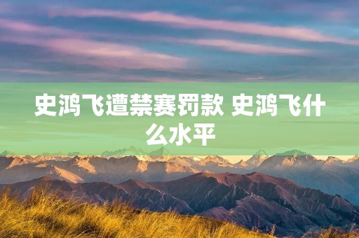 史鸿飞遭禁赛罚款 史鸿飞什么水平