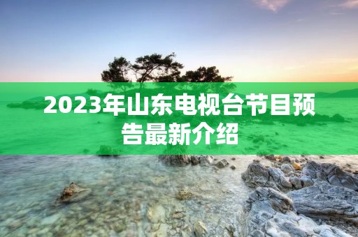 2023年山东电视台节目预告最新介绍