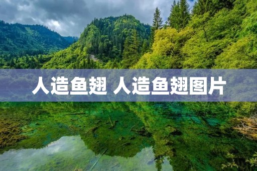 人造鱼翅 人造鱼翅图片 人造鱼翅 人造鱼翅图片