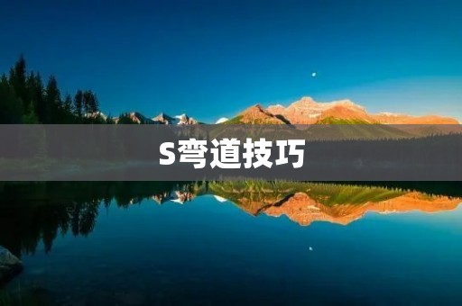 S弯道技巧:让你在赛道上成为高手 S弯道技巧:让你在赛道上成为高手