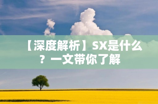 【深度解析】SX是什么?一文带你了解 【深度解析】SX是什么?一文带你了解