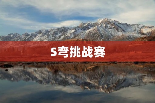 S弯挑战赛：挑战速度与技巧的极限