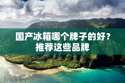 国产冰箱哪个牌子的好？推荐这些品牌
