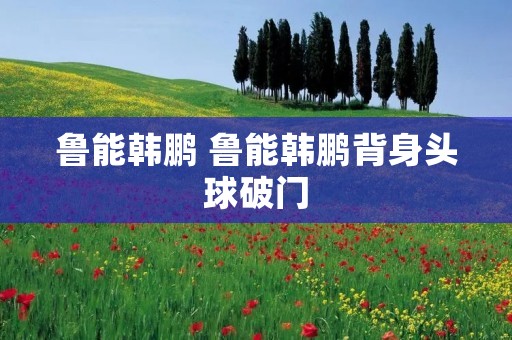 鲁能韩鹏 鲁能韩鹏背身头球破门 鲁能韩鹏 鲁能韩鹏背身头球破门