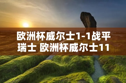 欧洲杯威尔士1-1战平瑞士 欧洲杯威尔士11瑞士 欧洲杯威尔士1-1战平瑞士 欧洲杯威尔士11瑞士