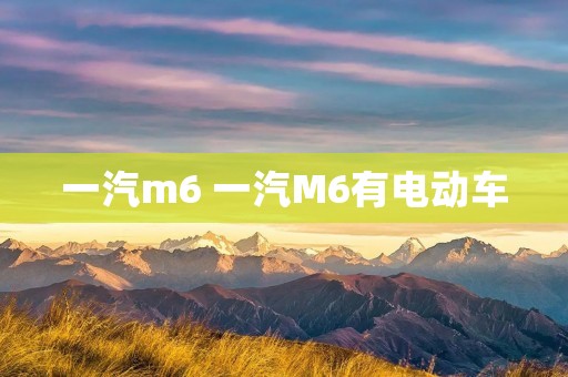 一汽m6 一汽M6有电动车