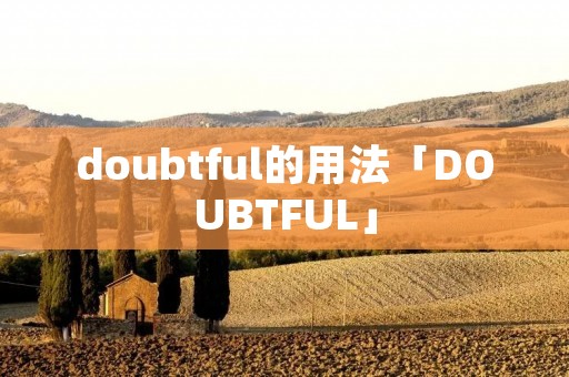 doubtful的用法「DOUBTFUL」
