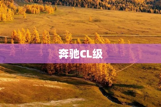 奔驰CL级:尊贵、豪华、性能兼备的豪华轿车 奔驰CL级:尊贵、豪华、性能兼备的豪华轿车