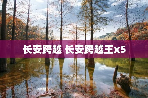 长安跨越 长安跨越王x5