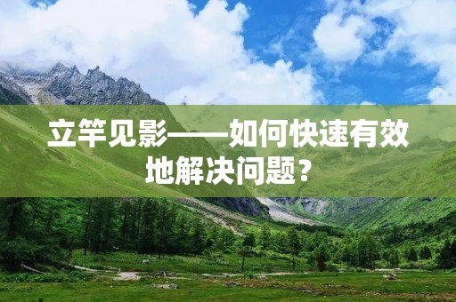 立竿见影——如何快速有效地解决问题?