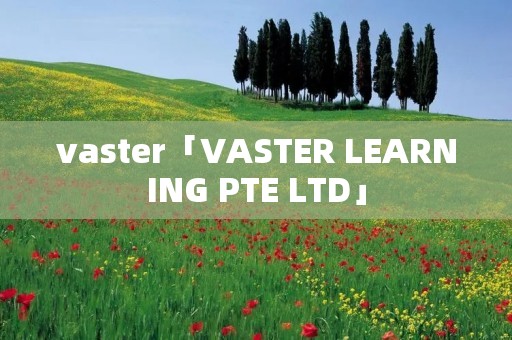 vaster「VASTER LEARNING PTE LTD」