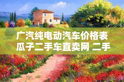 广汽纯电动汽车价格表 瓜子二手车直卖网 二手车市场