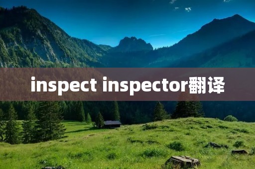 inspect inspector翻译