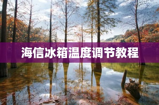 海信冰箱温度调节教程：如何正确设置温度？