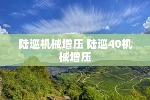 陆巡机械增压 陆巡40机械增压