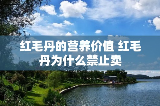 红毛丹的营养价值 红毛丹为什么禁止卖