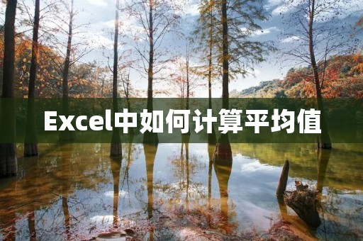 Excel中如何计算平均值