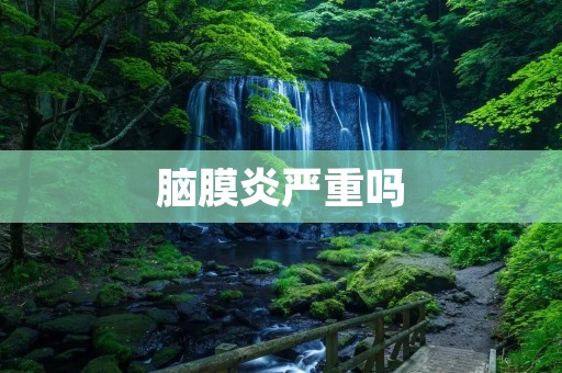 脑膜炎严重吗:症状、预防和治疗