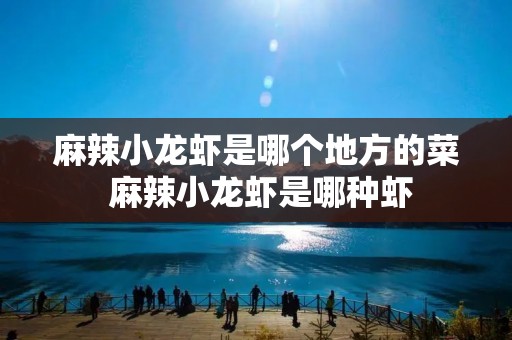 麻辣小龙虾是哪个地方的菜 麻辣小龙虾是哪种虾