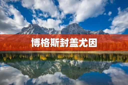博格斯封盖尤因：一场惊心动魄的NBA季后赛经典之战