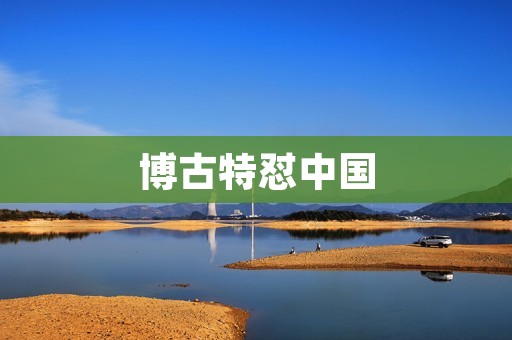 博古特怼中国:西方媒体的双重标准 博古特怼中国:西方媒体的双重标准
