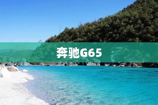 奔驰G65：豪华SUV的极致体验