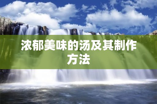 浓郁美味的汤及其制作方法 浓郁美味的汤及其制作方法