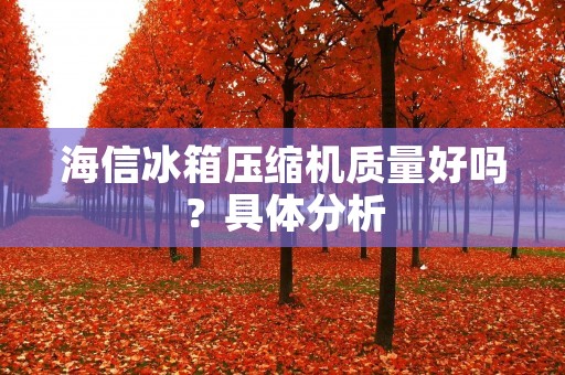 海信冰箱压缩机质量好吗？具体分析