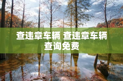 查违章车辆 查违章车辆查询免费 查违章车辆 查违章车辆查询免费