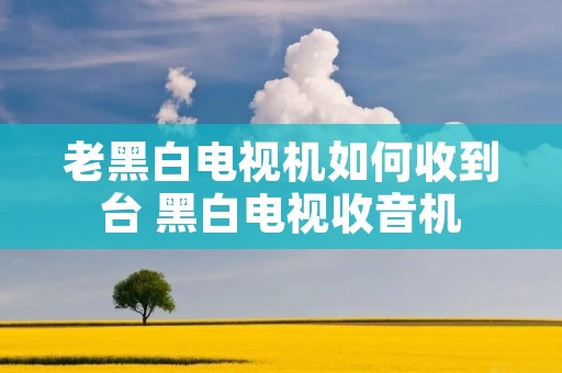 老黑白电视机如何收到台 黑白电视收音机 老黑白电视机如何收到台 黑白电视收音机