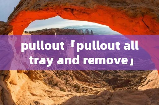 pullout「pullout all tray and remove」
