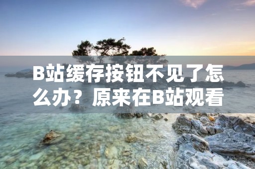 B站缓存按钮不见了怎么办?原来在B站观看视频时,我们可以通过点击“缓存”按钮将视频缓存到本地,以便在没有网络情况下观看。但是,最近很多用户反映说B站的缓存按钮不见了,导致不能正常缓存视频。那么,这个问题该如何解决呢?下面小编为大家提供一些解决方法。
