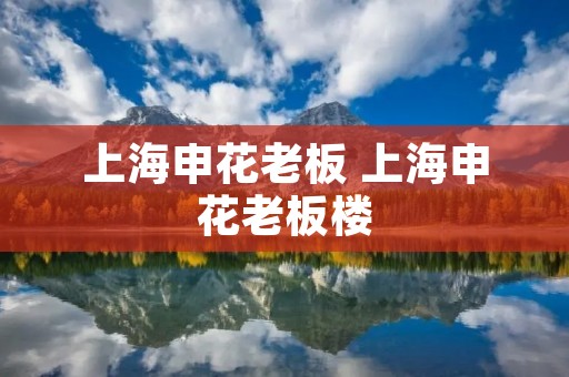 上海申花老板 上海申花老板楼