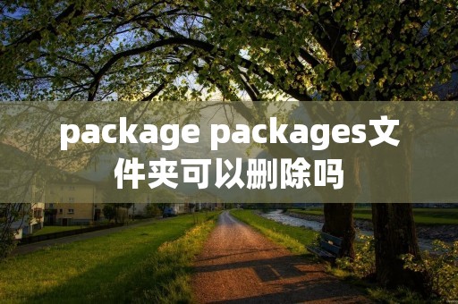 package packages文件夹可以删除吗