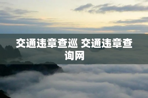 交通违章查巡 交通违章查询网