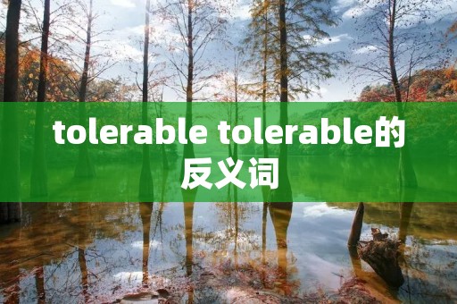 tolerable tolerable的反义词 tolerable tolerable的反义词