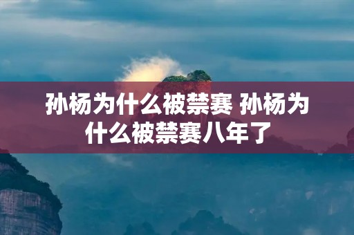 孙杨为什么被禁赛 孙杨为什么被禁赛八年了 孙杨为什么被禁赛 孙杨为什么被禁赛八年了