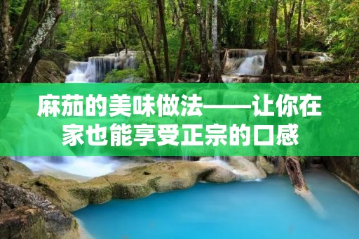 麻茄的美味做法——让你在家也能享受正宗的口感
