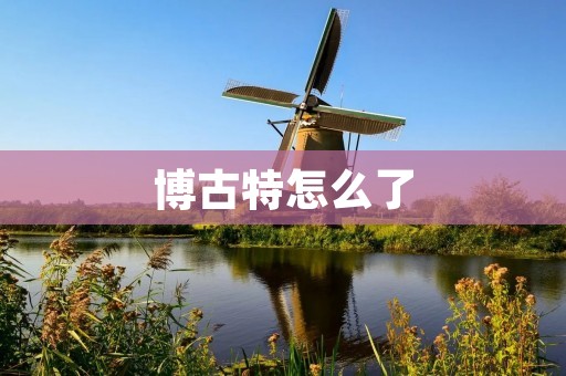 博古特怎么了:从NBA一哥到退役之路 博古特怎么了:从NBA一哥到退役之路