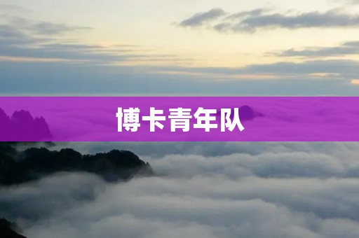 博卡青年队:阿根廷足球的传奇 博卡青年队:阿根廷足球的传奇