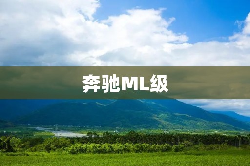 奔驰ML级:豪华SUV的领袖地位 奔驰ML级:豪华SUV的领袖地位