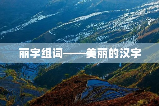 丽字组词——美丽的汉字