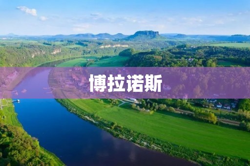 博拉诺斯：阿根廷文学史上的重要人物