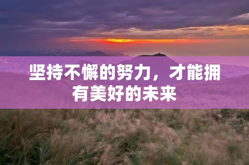 坚持不懈的努力,才能拥有美好的未来