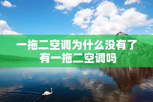 一拖二空调为什么没有了 有一拖二空调吗